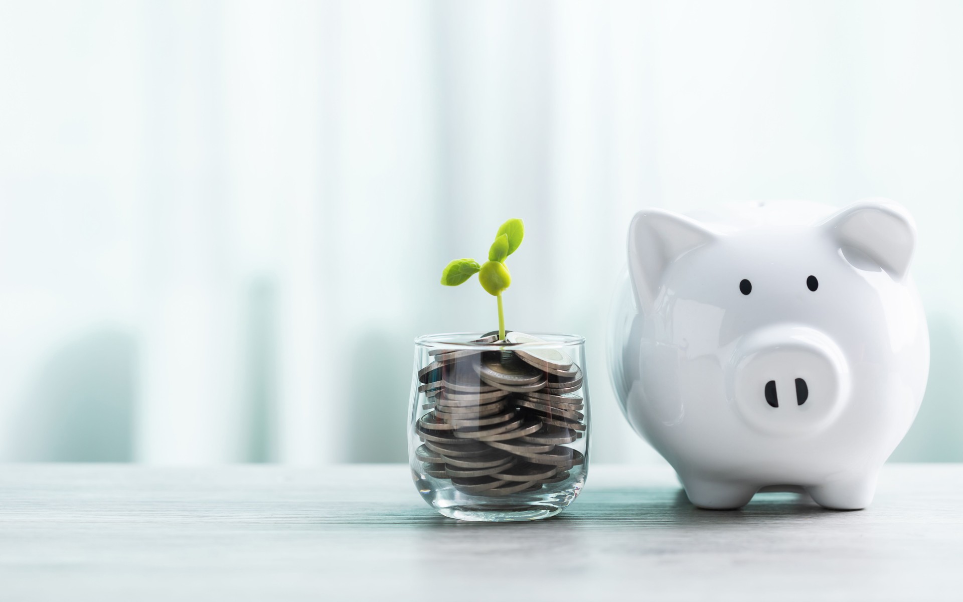 A white piggy bank and a jar of coins with a small seedling growing in the center sit on a table against a bright white background. The image symbolizes saving and financial growth for the future.